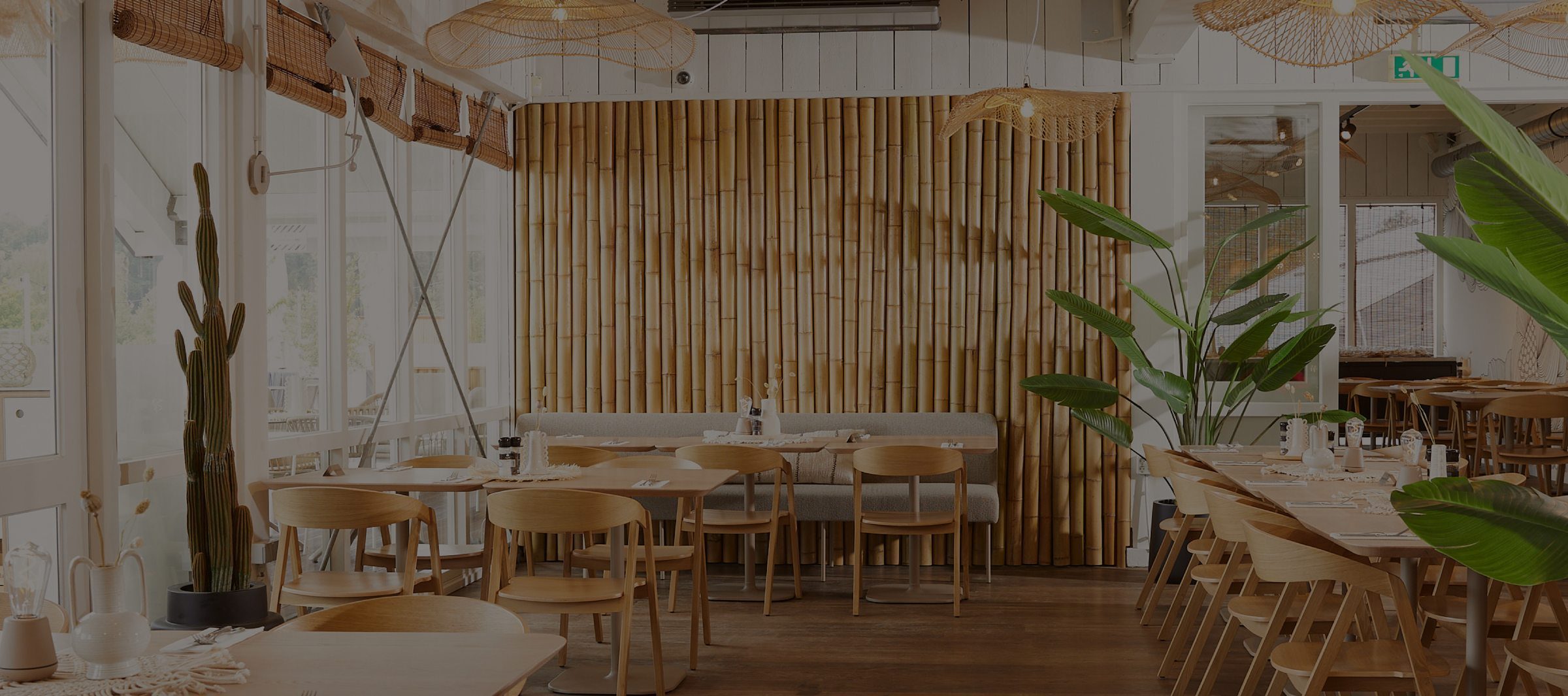 Interior of Down Under with a bamboo-clad wall, woven pendant lamps and a cactus in the foreground